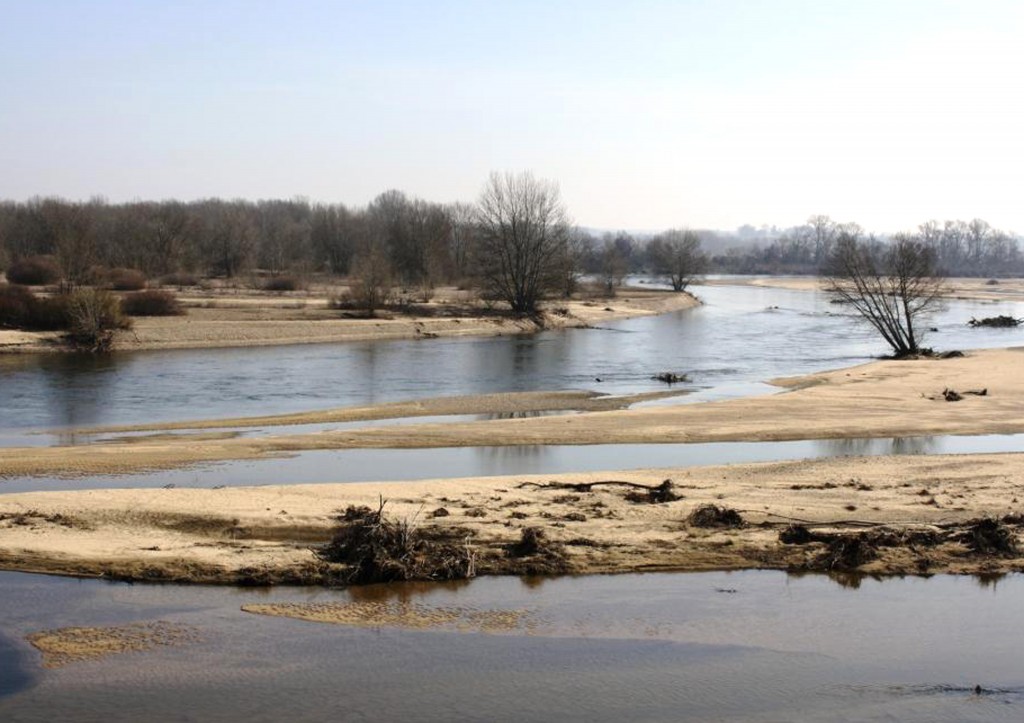 Les bancs de sable de la Loire et de l’Allier sont favorables au développement de plusieurs espèces de Gomphidés © A. Soissons